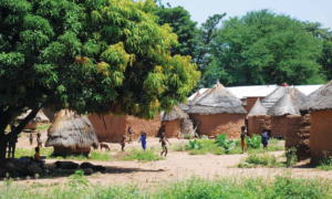 Benin Cumhuriyeti  | SintekPlus Sayı 3