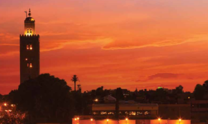 Fas Krallığı | SintekPlus Sayı 6