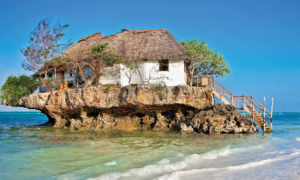 Baharat Kokulu Pencere: Zanzibar | SintekPlus Sayı 11